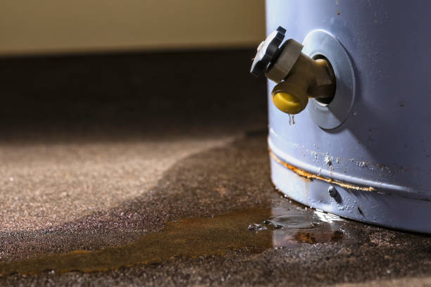 Best Basement water damage restoration  in Santa Rita Ranch, TX